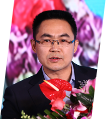 新华网副总裁 党组成员 丁平