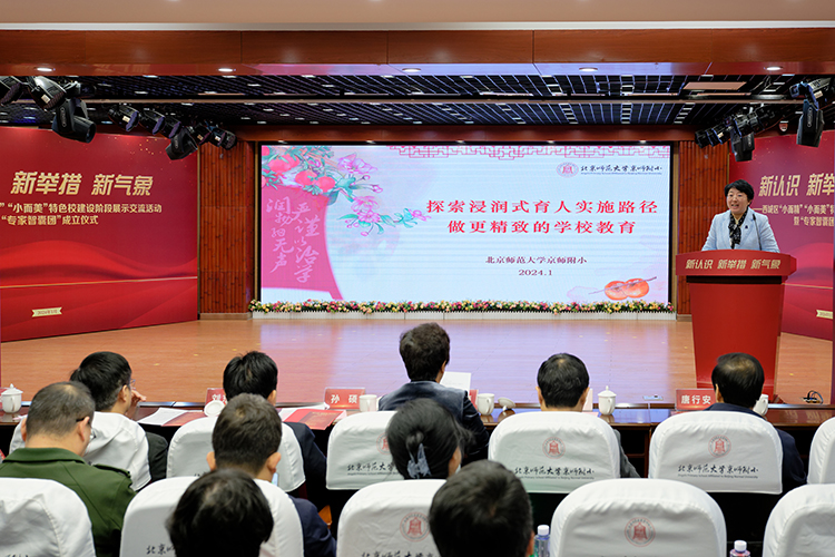 北京西城区成立“小而精”“小而美”项目“专家智囊团”