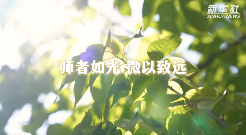 公益微视频｜师者如光