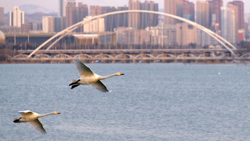 一所县中的“留人”与“育人”答卷