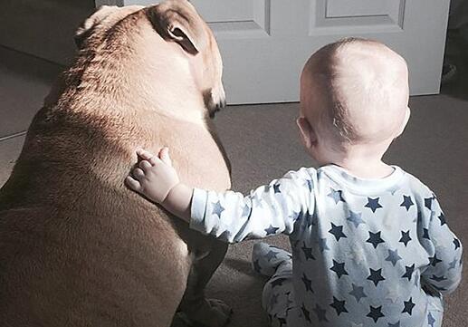 男童與狗親似兄弟