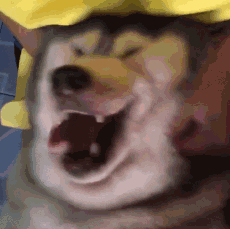 【职通车】大学生改造旧物 山村文创产品让游客留下来