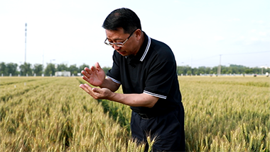 张福锁:"带不走的帮扶队伍"助乡村建设