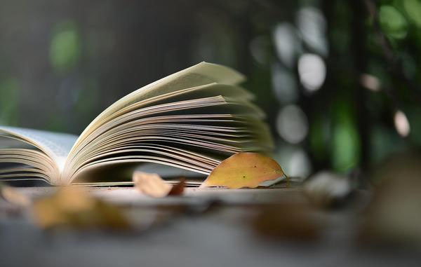 中国留学生入境美国遭恐吓 我驻洛杉矶总领馆发布提醒