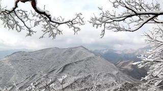 在中國古詩詞裏，尋找“雪容融”
