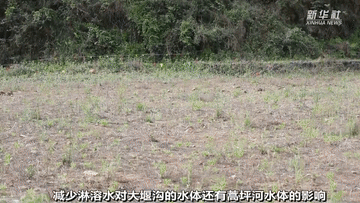 曾经被“遗弃”的它们 搬到新家啦!