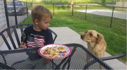 呆萌奶娃与宠物狗的相伴时光 组图