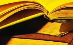 内容涵盖北京冬奥会、公交&ldquo;红色专车&rdquo;、社区邻里节 北京中考试卷京味儿十足