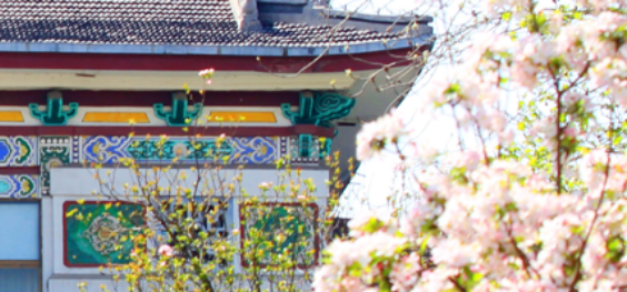 [毕业季]山东师范大学：毕业难说再见，归来仍少年！