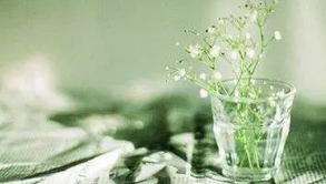 谈钱七虎院士：淡泊名利是科学家精神的重要内核