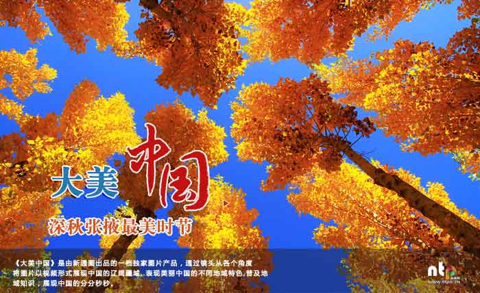 【大美中国】深秋时节张掖鲜花盛开