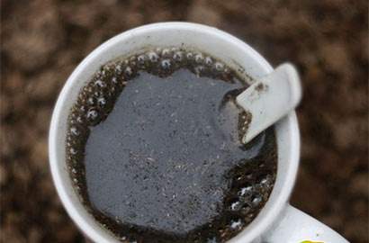 湖南湘潭农民用牛羊粪便泡水喝 称可治癌症