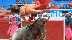 墨西哥女斗牛士被公牛顶飞 愤怒公牛扰乱赛场