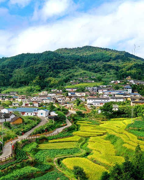梅畲村隶属广东省梅州市平远县泗水镇,在打造田园综合体前,梅畲村共有
