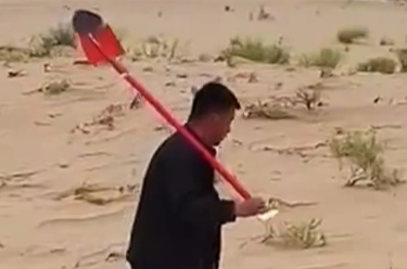 “95后”治沙人仲麟：敢把“沙窝窝变绿洲”