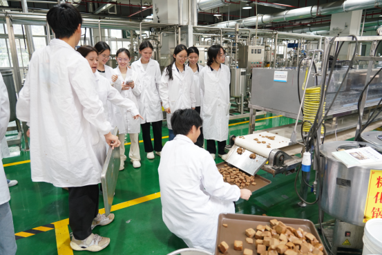 强根基、融产业、通东盟：广西职业教育构建服务高质量发展新格局