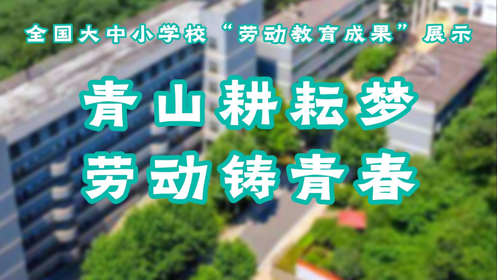 青山耕耘梦 劳动铸青春