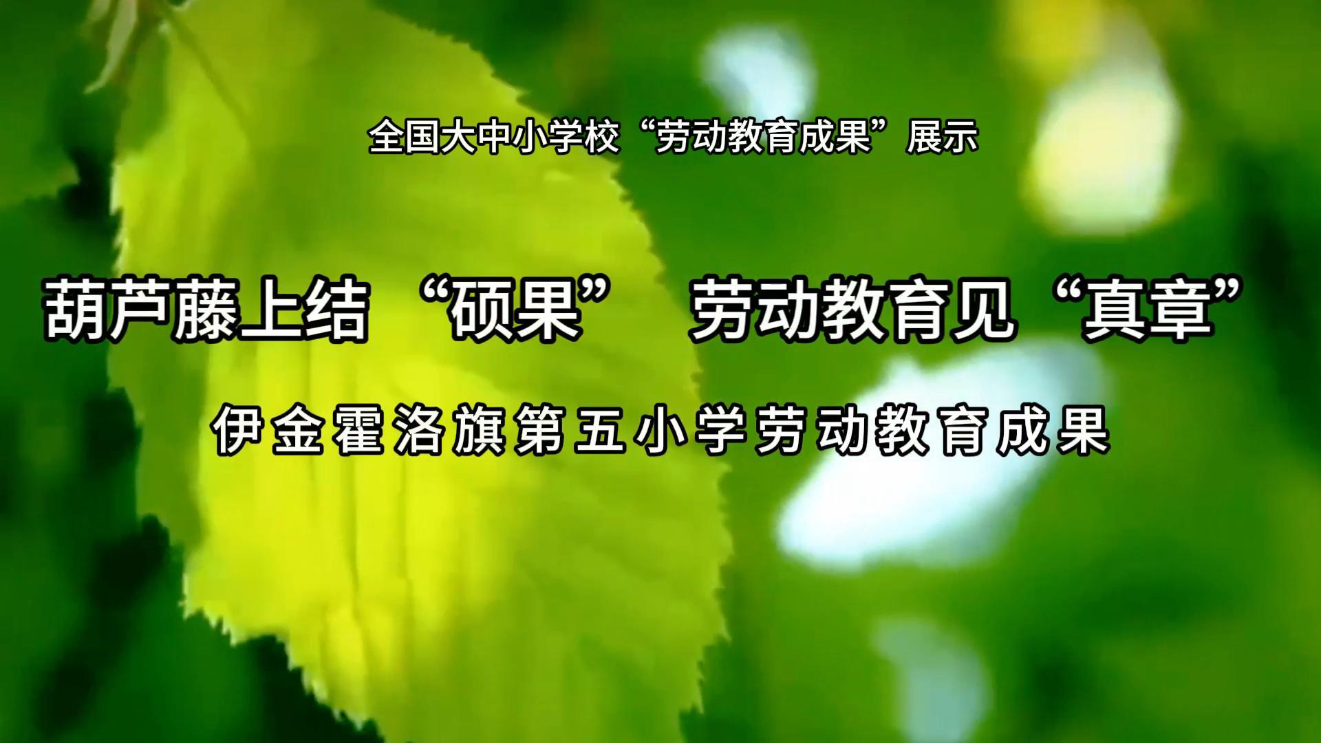 葫芦藤上结“硕果”劳动教育见“真章”