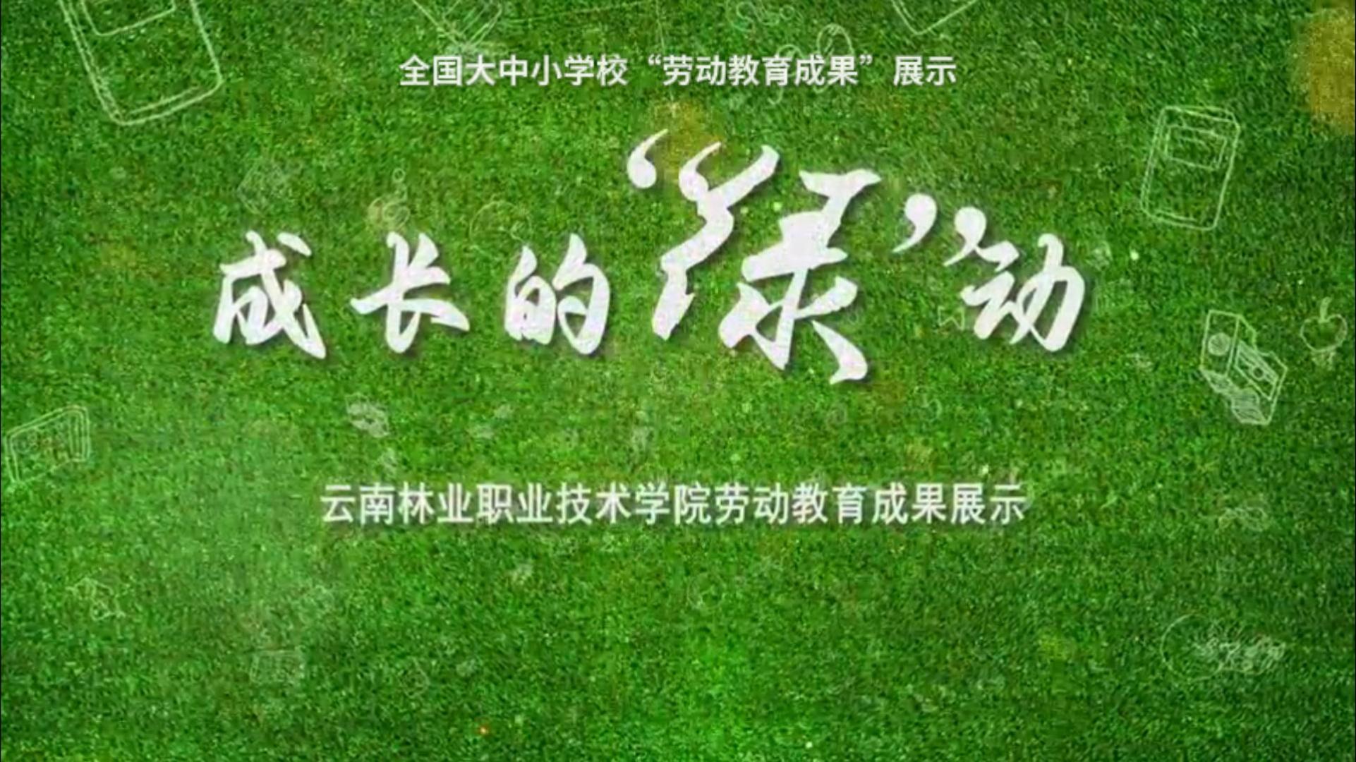 成长的“绿”动