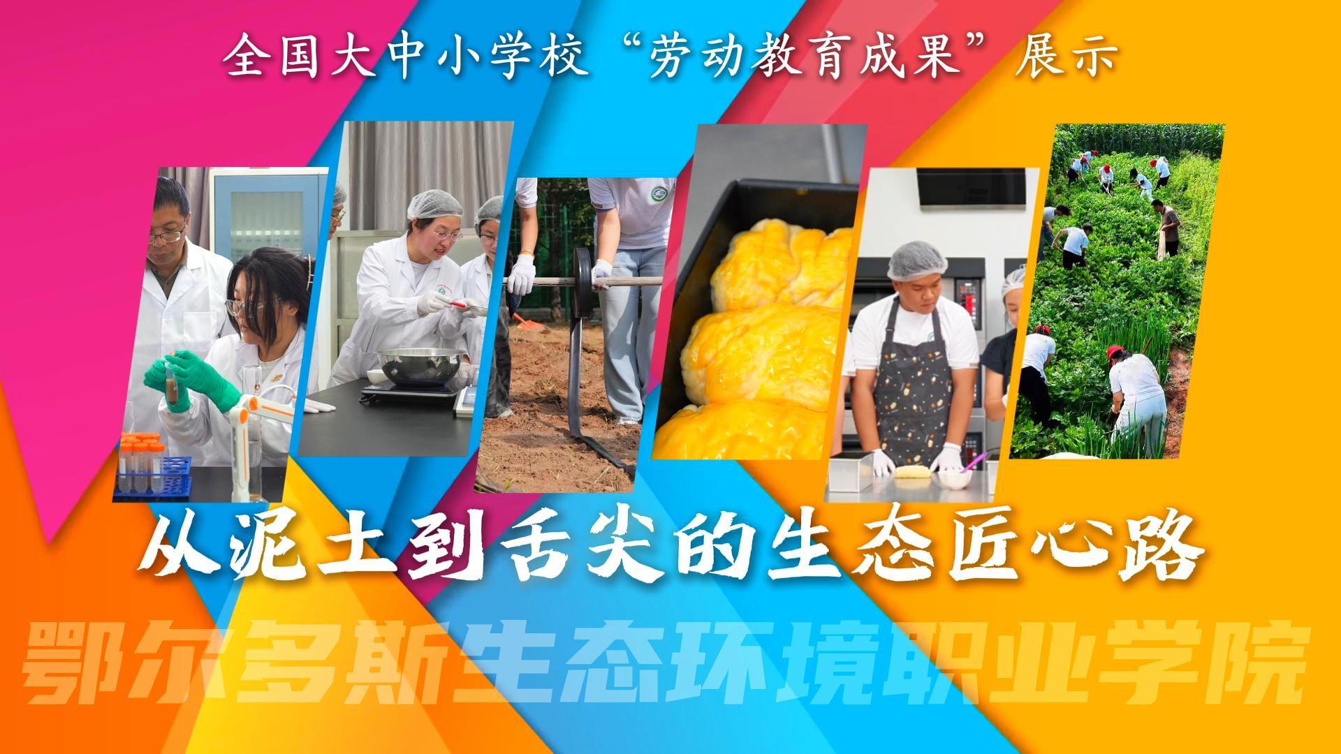 从泥土到舌尖的生态匠心路