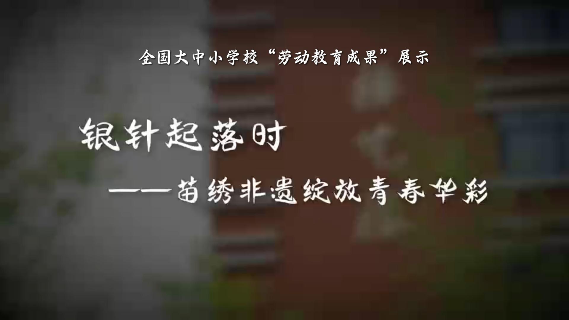银针起落时——苗绣非遗绽放青春华彩