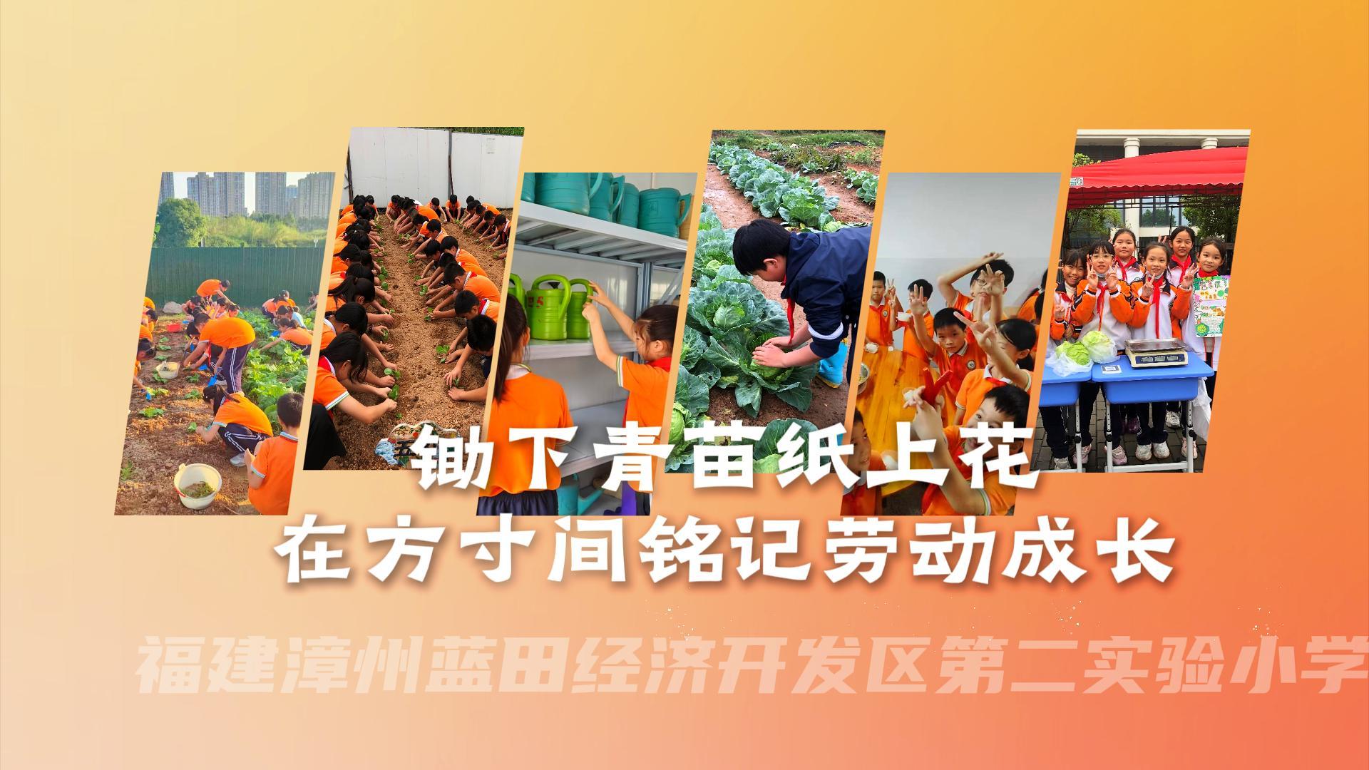 锄下青苗纸上花，在方寸间铭记劳动成长