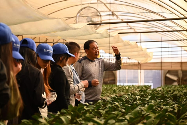 以技为桥 向绿而行 绘就云南职教融合发展新图景