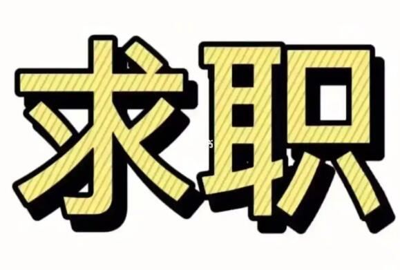 这届大学生，求职有啥新特点？