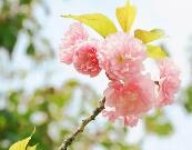 触摸历史、畅享运动、拥抱自然 邂逅属于孩子的春日美好