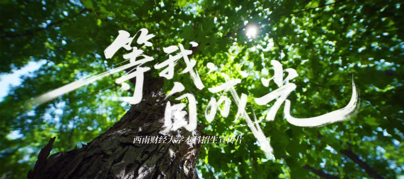 西南财经大学2026本科招生宣传片《等我,自成光》发布