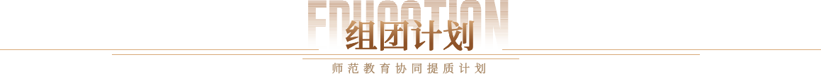 组团计划