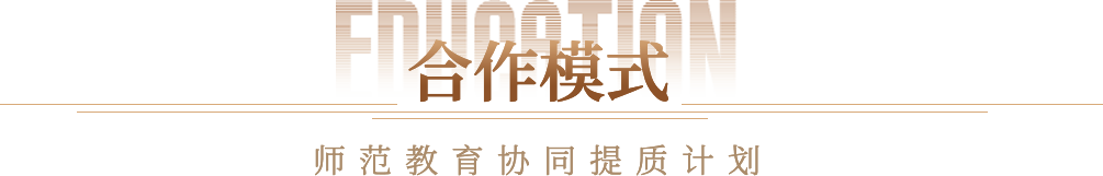 合作模式