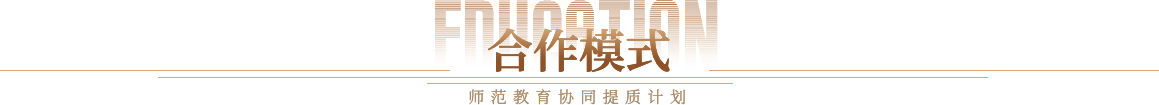 合作模式